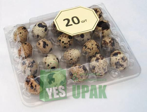 Упаковка на 20 ячеек для перепелиных яиц