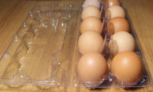 Пластиковая упаковка с яйцами
