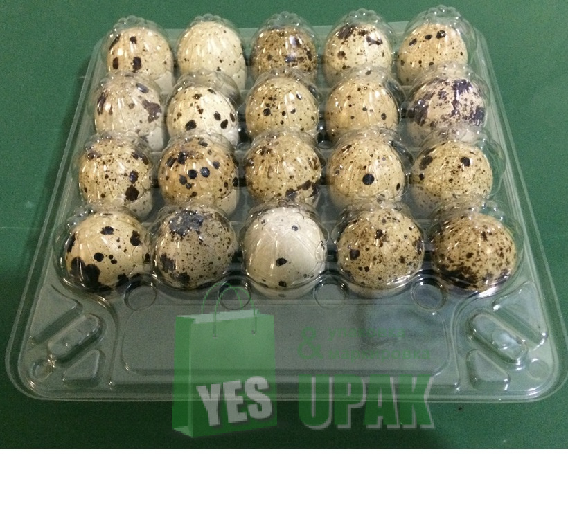Упаковка на 20 перепелиных яиц